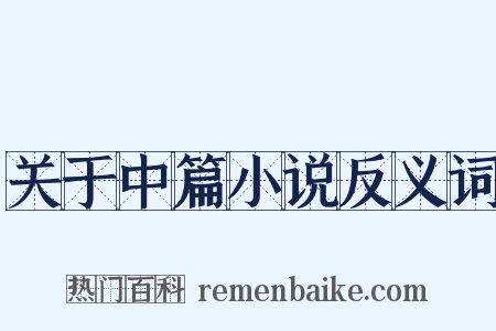 关于中篇小说反义词是什么意思的图片